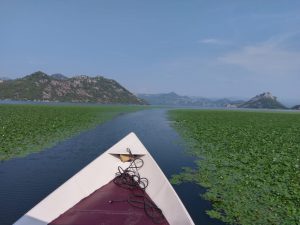 Krstarenje camcem Skadarskim jezerom